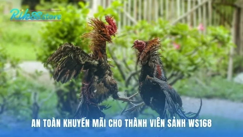 WS168 bảo mật bằng SSL và thưởng chào mừng 100%