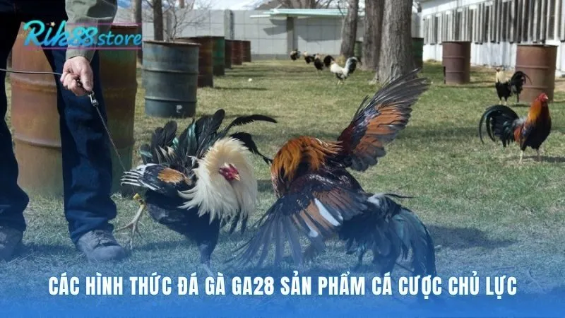 Ba sản phẩm chủ lực gồm Thomo cựa sắt và cựa dao