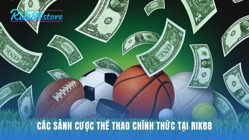Sảnh cược thể thao quy tụ các nhà cung cấp hàng đầu