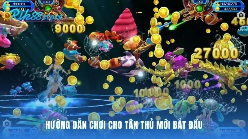 Hướng dẫn chơi gồm các bước và chiến lược khởi đầu