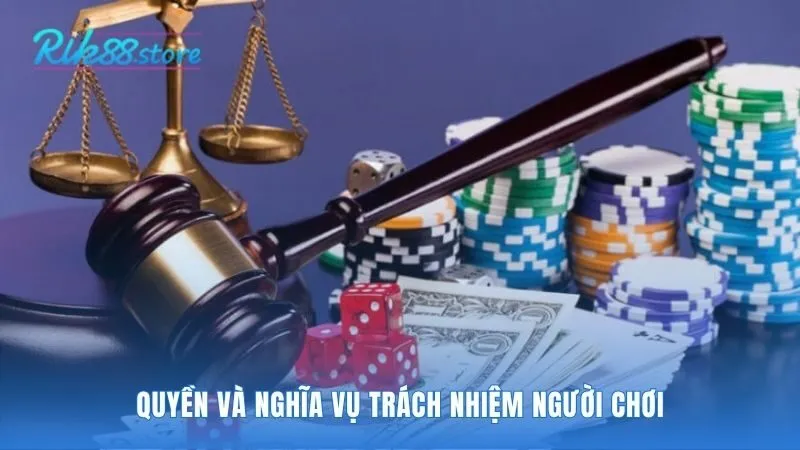 Hệ thống cam kết cung cấp thông tin chính xác theo quy định