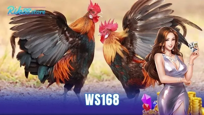 WS168
